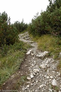 steiniger Wanderweg auf den Thaneller