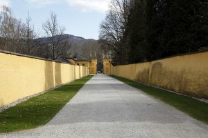 Spazierweg zum Schloss Hellbrunn