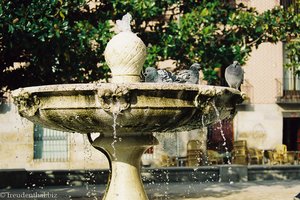 Springbrunnen mit Tauben in Madrid