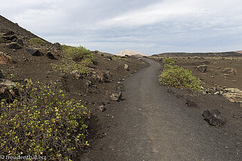 Auf dem Wanderweg um die Caldera Colorada