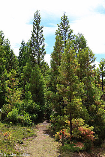 Wanderung Mistério dos Negros