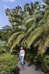 Anne unter den Kanarischen Dattelpalmen im Exotic Hallim Park