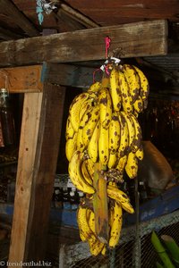 Bananenstaude auf dem Markt in Santo Domingo