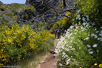Wanderung auf den Pico Ruivo auf Madeira