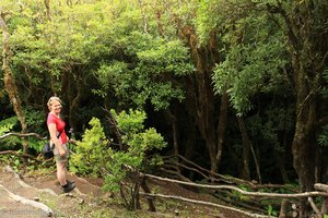 Lavahöhle unterhalb des Cabeco Verde auf Faial