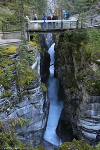 vierte Brücke über den Maligne Canyon