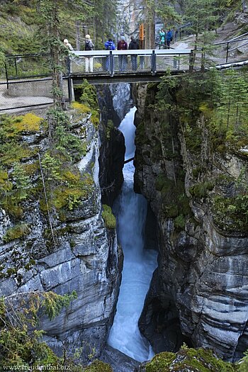 vierte Brücke über den Maligne Canyon