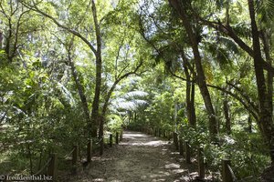 Fußweg zum Anse Intendance