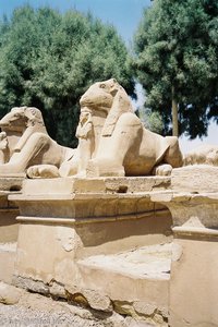 Widdersphingen vor dem Karnak-Tempel