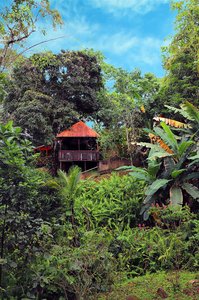 Eco Lodge in Boca Tapada
