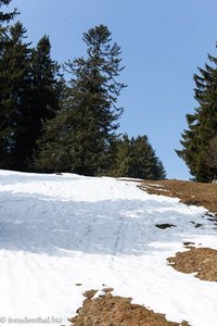 Abstieg vom Regulastein nach Spitzmoos (Blick zurück)