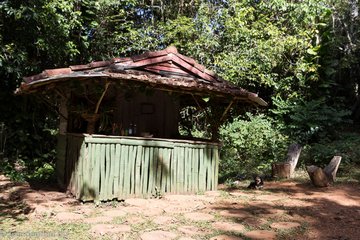 Waldbar auf dem Sendero Caburni