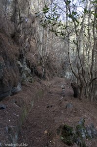 Ein schöner, ebener Weg verläuft entlang der Levada.