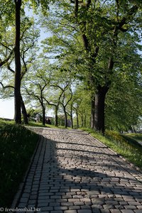 Parkweg zum Schloss Akershus von Oslo