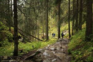 Felsiger Aufstieg im unteren Teil der Burkhardklamm