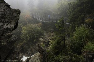 Hochmoor beim Abstieg von der Burkhardklamm.