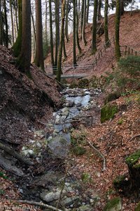 Bächle zwischen Rämel und Üetliburg