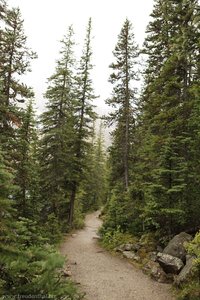 Wanderweg am Lake Moraine