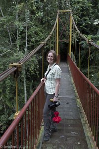 Anne auf der Hängebrücke des Quindío Botanical Garden in Kolumbien.