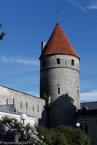 Saunatorn Tallinn