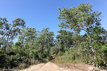 Wanderweg zum Aussichtspunkt und Gongon-Trail