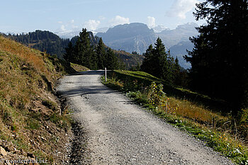 Bequemer Wanderweg nach Holzegg