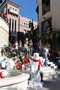 Eisbären beim Rodeo Drive