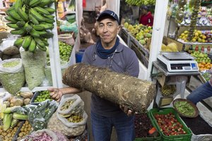 Cilfredo und eine medizinische Riesenwurzel beim Mercado de Paloquemao