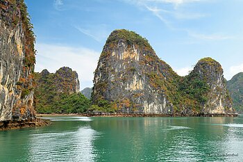 Kalkinseln ragen aus dem grünen Wasser in der Halong-Bucht