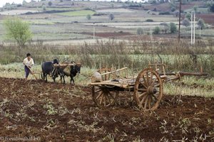 Bauer auf dem Weg nach Pindaya