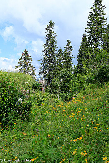 Bergweg zwischen Emmetten und Niederbauen
