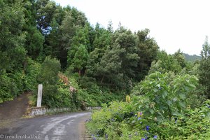 Wanderung zum Lagoa das Furnas