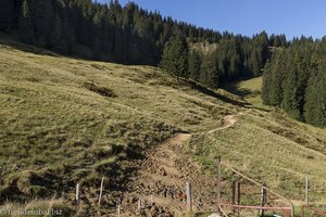 Alpwiesen beim Immenstädter Horn