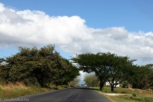 auf der Panamericana