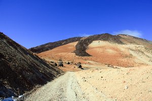 Blick über die Teide-Eier