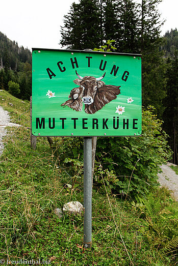 Achtung Mutterkühe