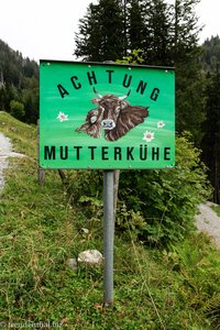 Achtung Mutterkühe