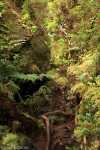 Wanderweg zu den Schwarzen Geheimnissen