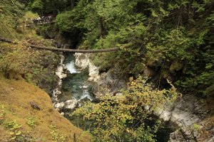 auf dem Weg zum oberen Wasserfall - Little Qualicum Falls