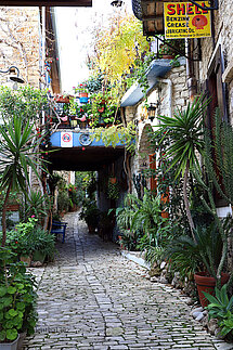 Ein Pflanzenwirrwarr in Pano Lefkara