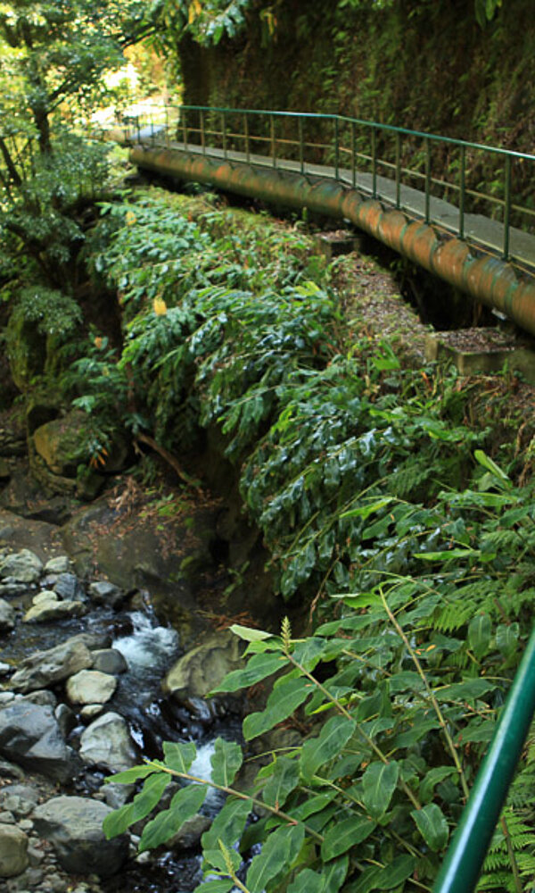 Wanderweg zum Wasserfall Salto do Cabrito