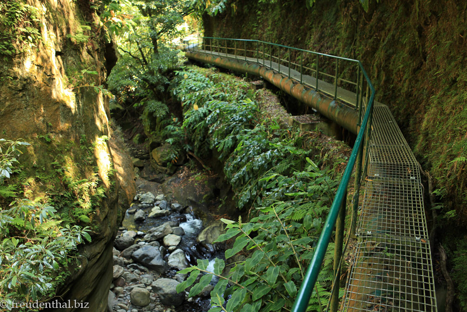Schattiger Wanderweg entlang einer Rohrleitung zum Wasserfall Salto do Cabrito auf den Azoren