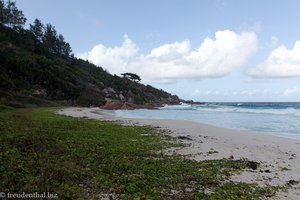 Petite Anse auf La Digue