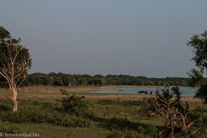 Abendidylle im Yala West-Nationalpark