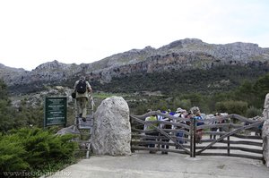 wackliger Zugang auf das Gelände der Finca Mossa