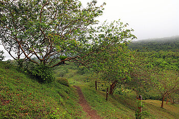 Wanderweg beim Mirador Lago Arenal