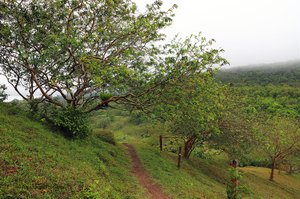 Wanderweg beim Mirador Lago Arenal