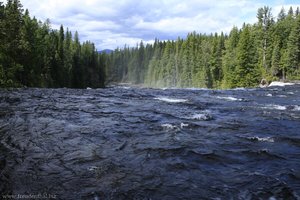 Murtle River oberhalb der Dawson Falls