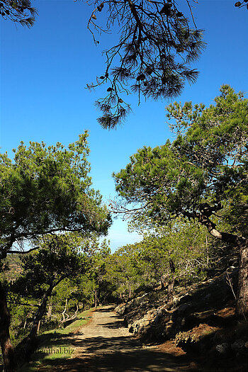 Wanderweg Smiegis Trail
