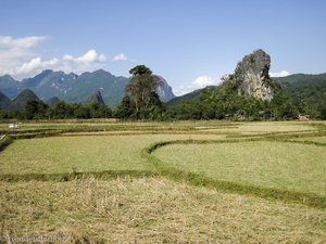 bei den Feldern um Vang Vieng